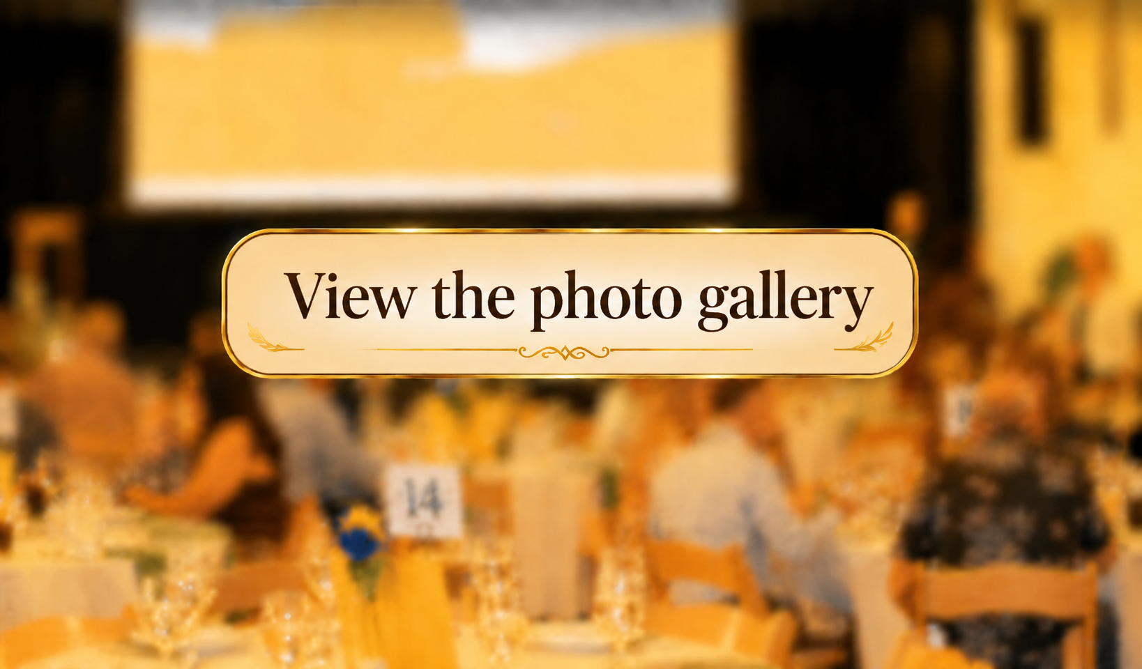 View the photo gallery